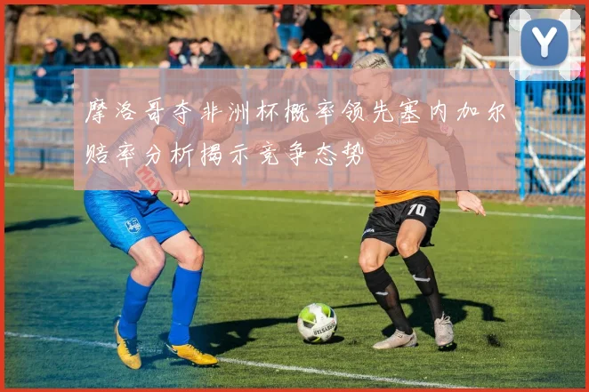 摩洛哥夺非洲杯概率领先塞内加尔赔率分析揭示竞争态势