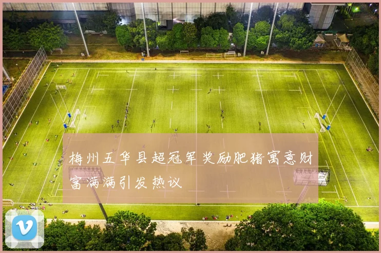 梅州五华县超冠军奖励肥猪寓意财富满满引发热议