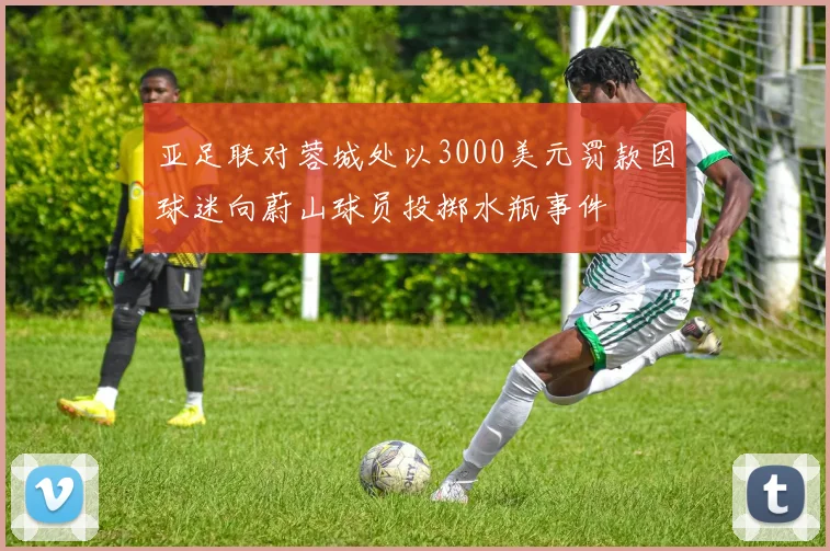 亚足联对蓉城处以3000美元罚款因球迷向蔚山球员投掷水瓶事件